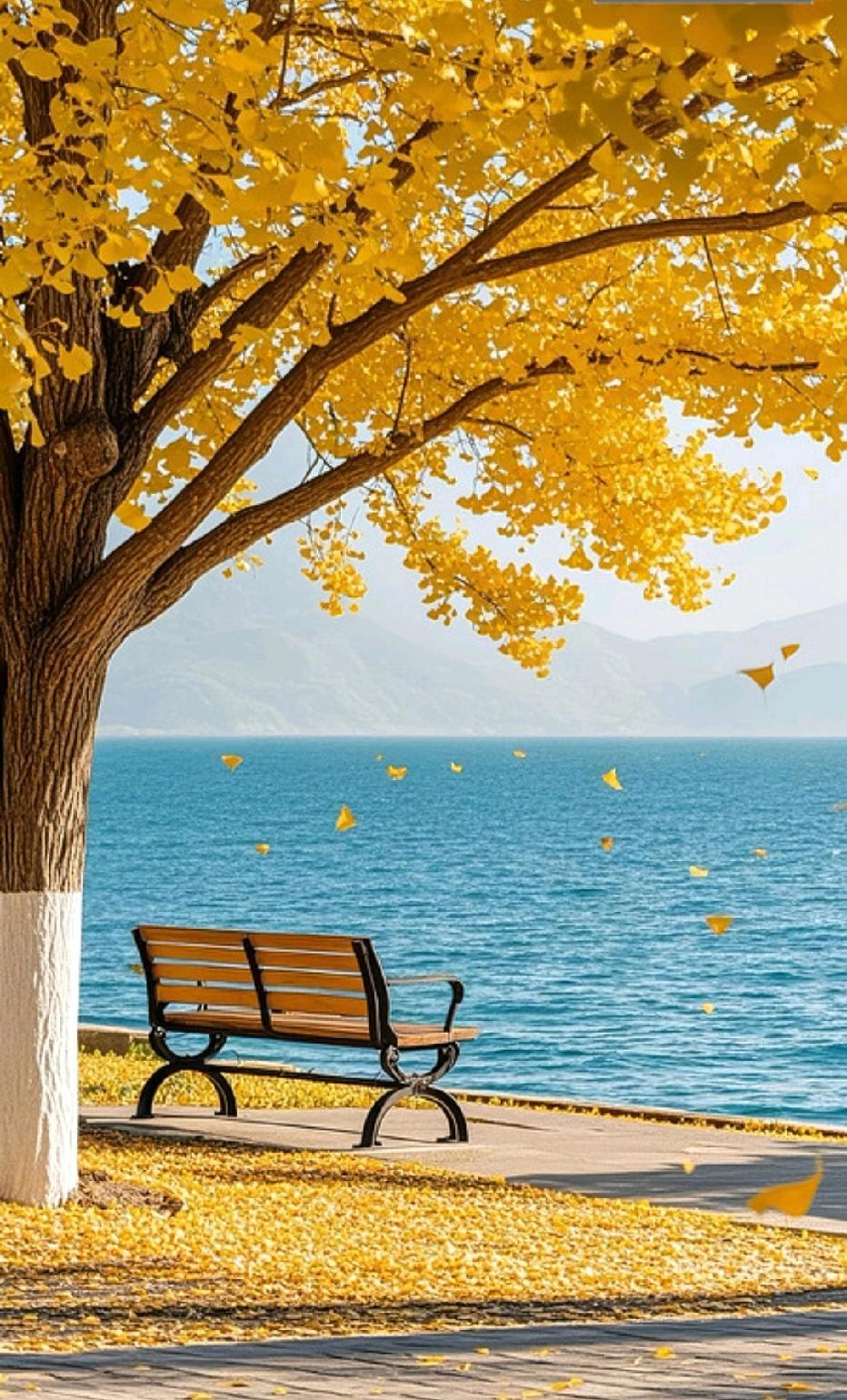 越来越发现，成年人最舒服的生活状态，是学会不勉强。年纪越大越能看清一个