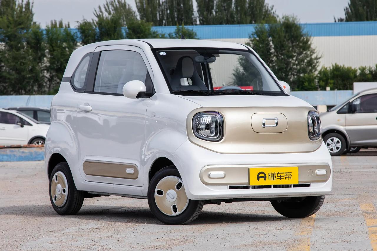 购车预算只有3万元左右，想要一辆能够上牌的纯电小车，不想要老头乐，主要用于买菜接