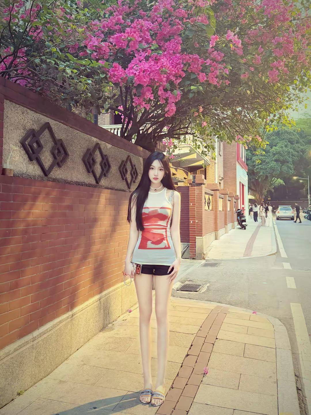 “刚好有一道墙”墙一切似乎刚刚好蔷薇花