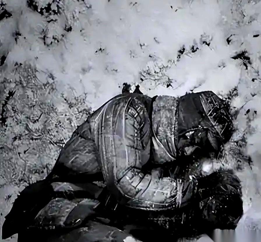 零下四十度的长津湖，一个17岁的兵，昏死在雪堆里。再次醒过来，不是被冻醒的，是