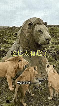 不懂就问，这个真的有用吗？感觉很危险的样子。