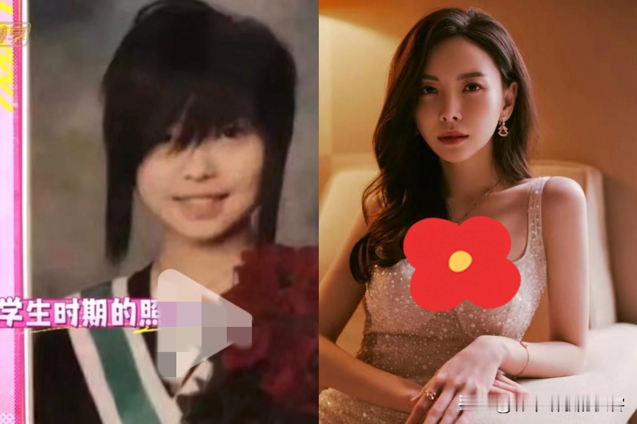 查了下于文文，一查才知道，她是加拿大国籍。为啥她是外国籍呢，原因很简单，因为