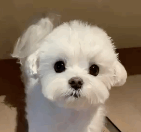 为什么我今天突然这么困啊卧槽困的不行