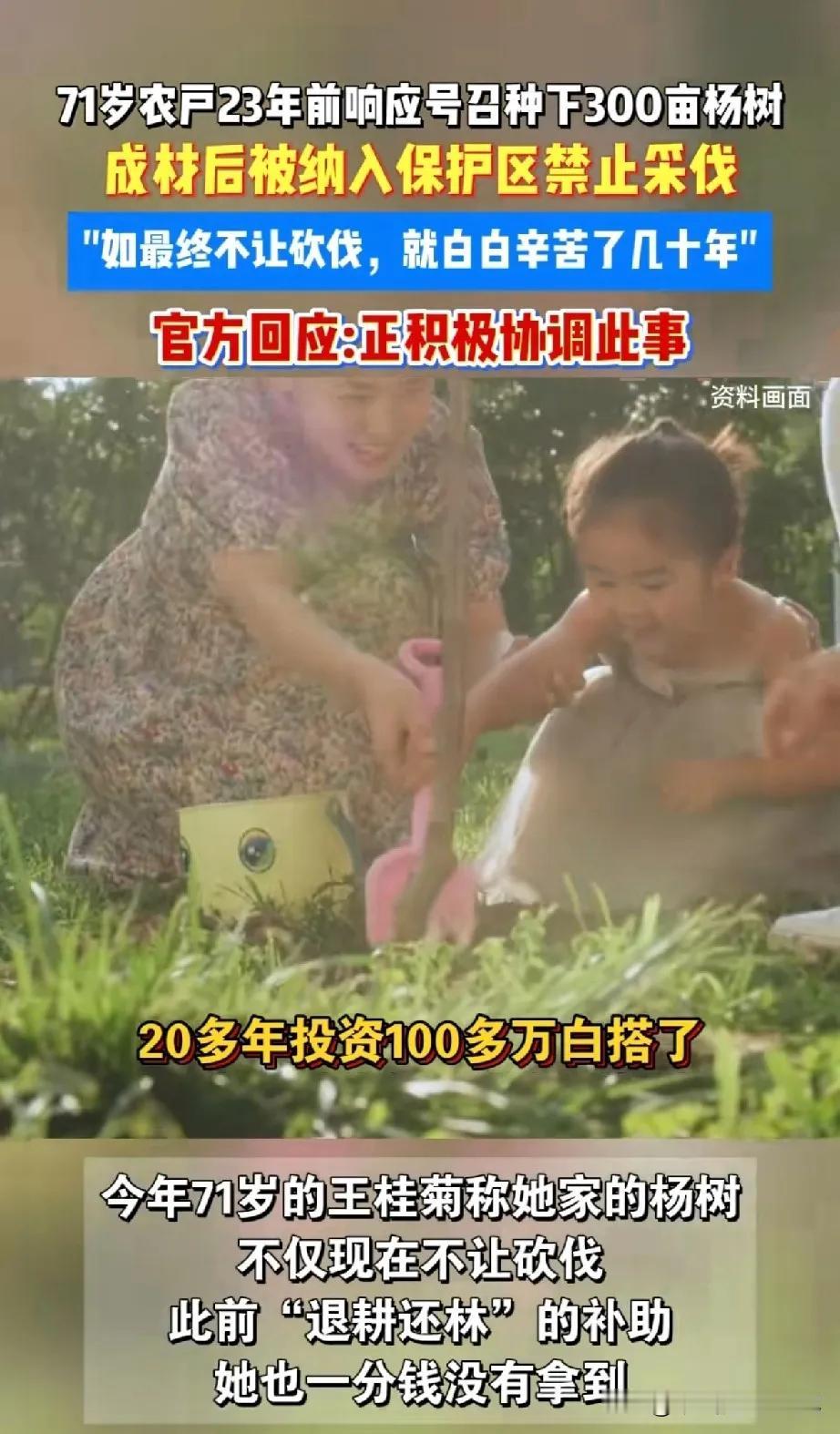 黑龙江71岁农户的遭遇，真的让人又气又心疼！23年前响应号召种了360亩杨树，投