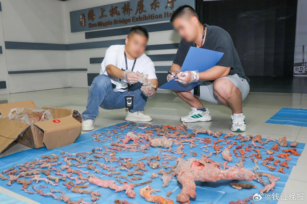 【#特大盗采红珊瑚案19人获刑#】数百年生长，一夕盗采。日前，由舟山市检察院