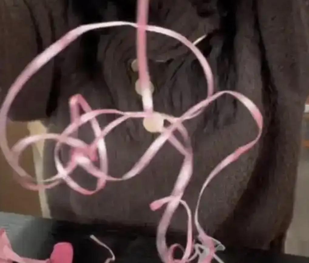 如果你连58块钱都出不起的话，我觉得还是不要给孩子仪式感了！事情的起因是有一家