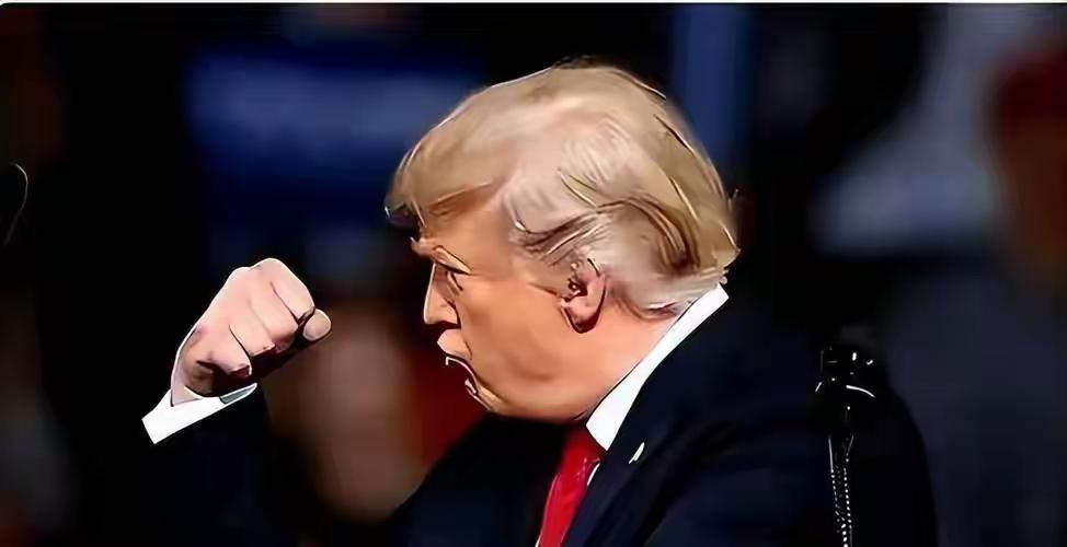 秦安：整整13人的军演，遏制不了特朗普格陵兰岛之梦！中国很关键13人的军演