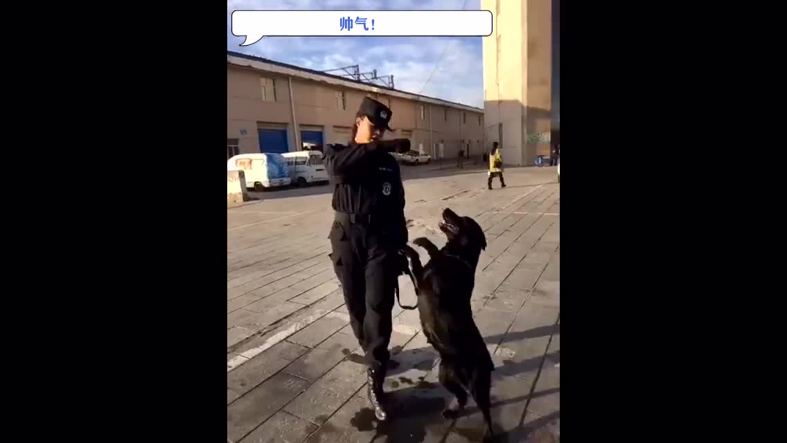 于和伟主演电视剧警花与警犬 614882192298640045.jpg?id=0