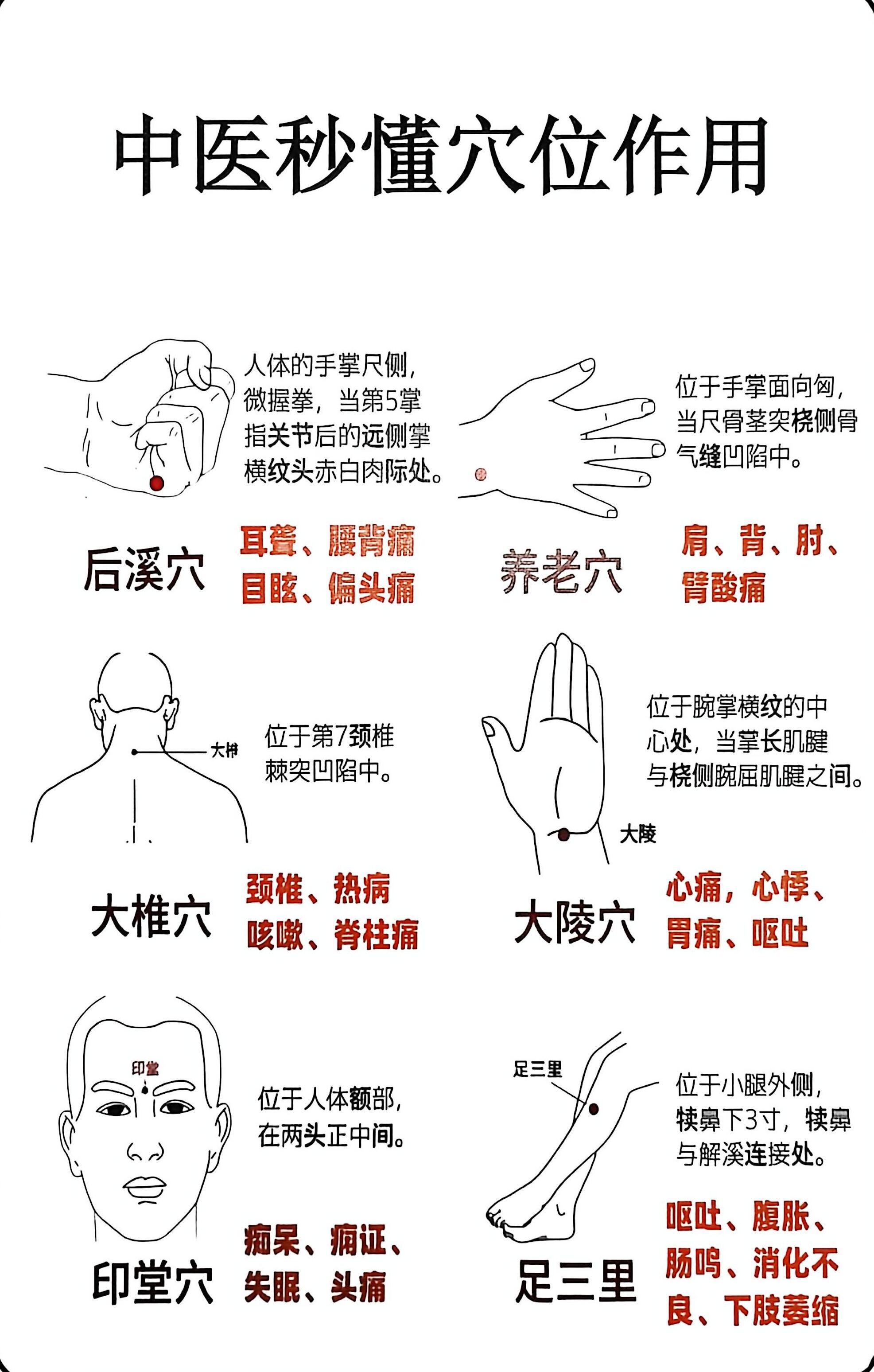 秒懂穴位作用穴位养生​​​