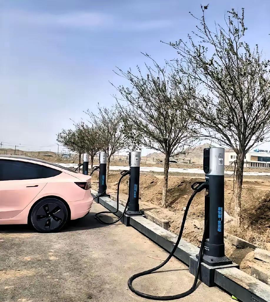 说真的，这次是动真格的了，​刚看到消息，从2026年3月起，党政机关、事业单位还