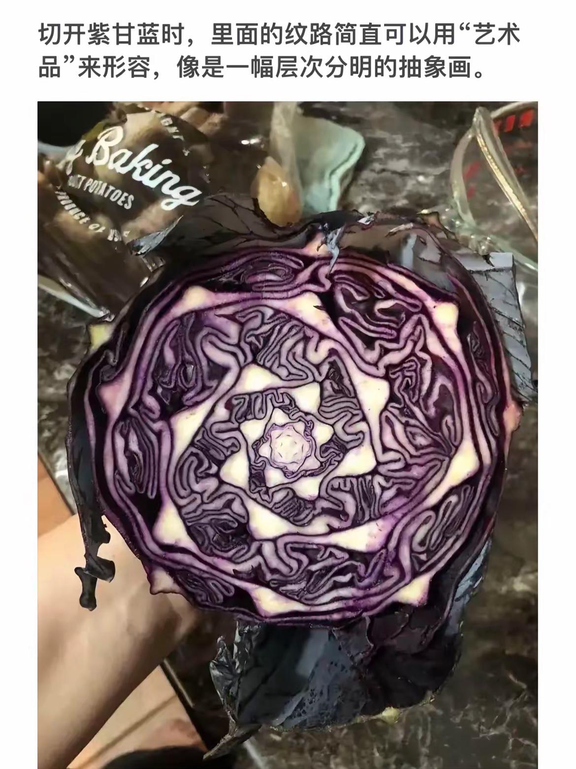 紫甘蓝的“艺术品”切面，惊艳的视觉效果！