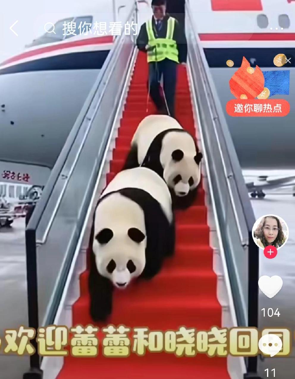 旅日国宝终于回家了晓晓、蕾蕾离开日本，头也不回地走进悬挂着五星红旗的专机。尽