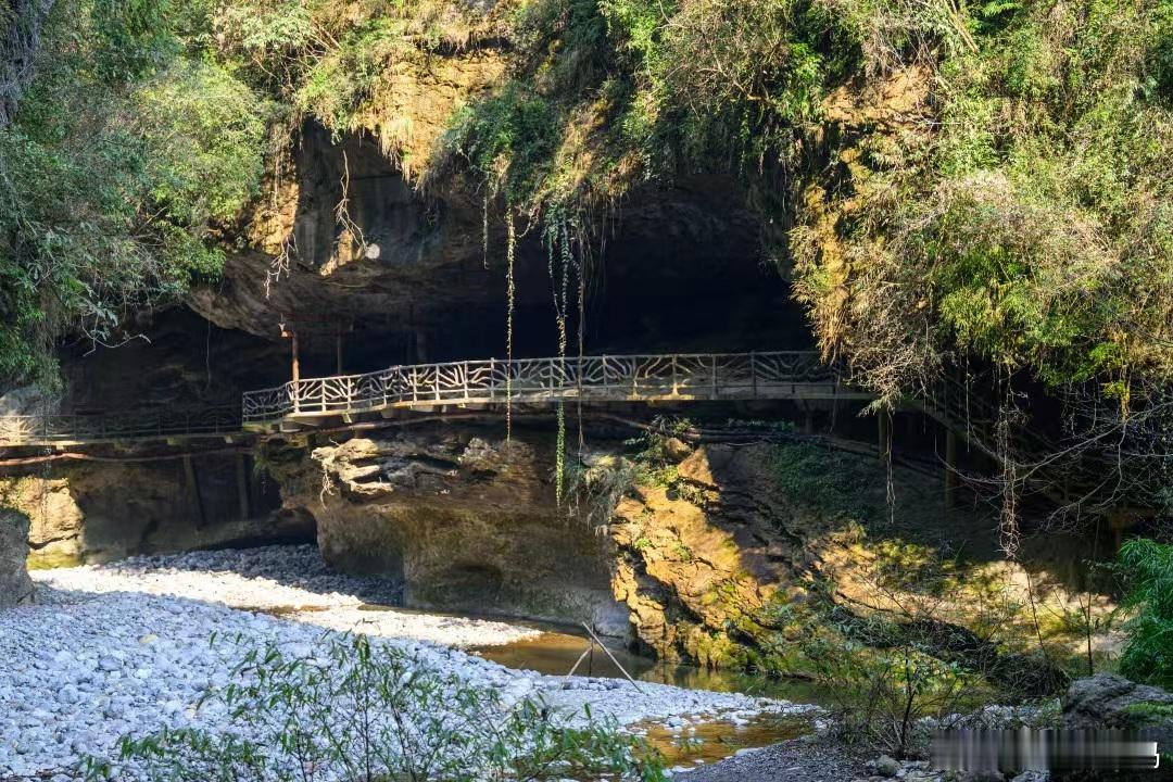 这个春节巴山大峡谷含金量百分百巴山大峡谷邀您来寻宝啦漫步9.6公里生态环线