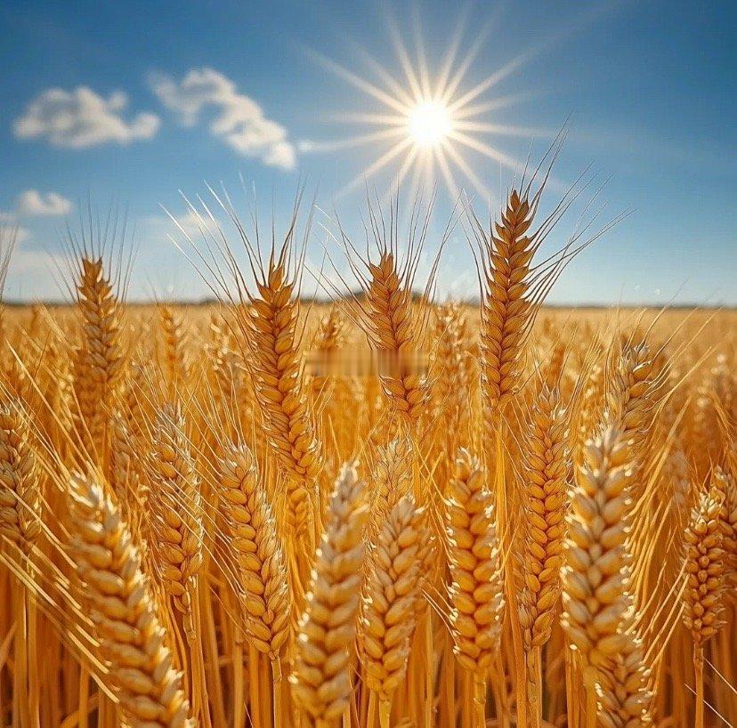 大家早上好，在线的朋友点赞签到