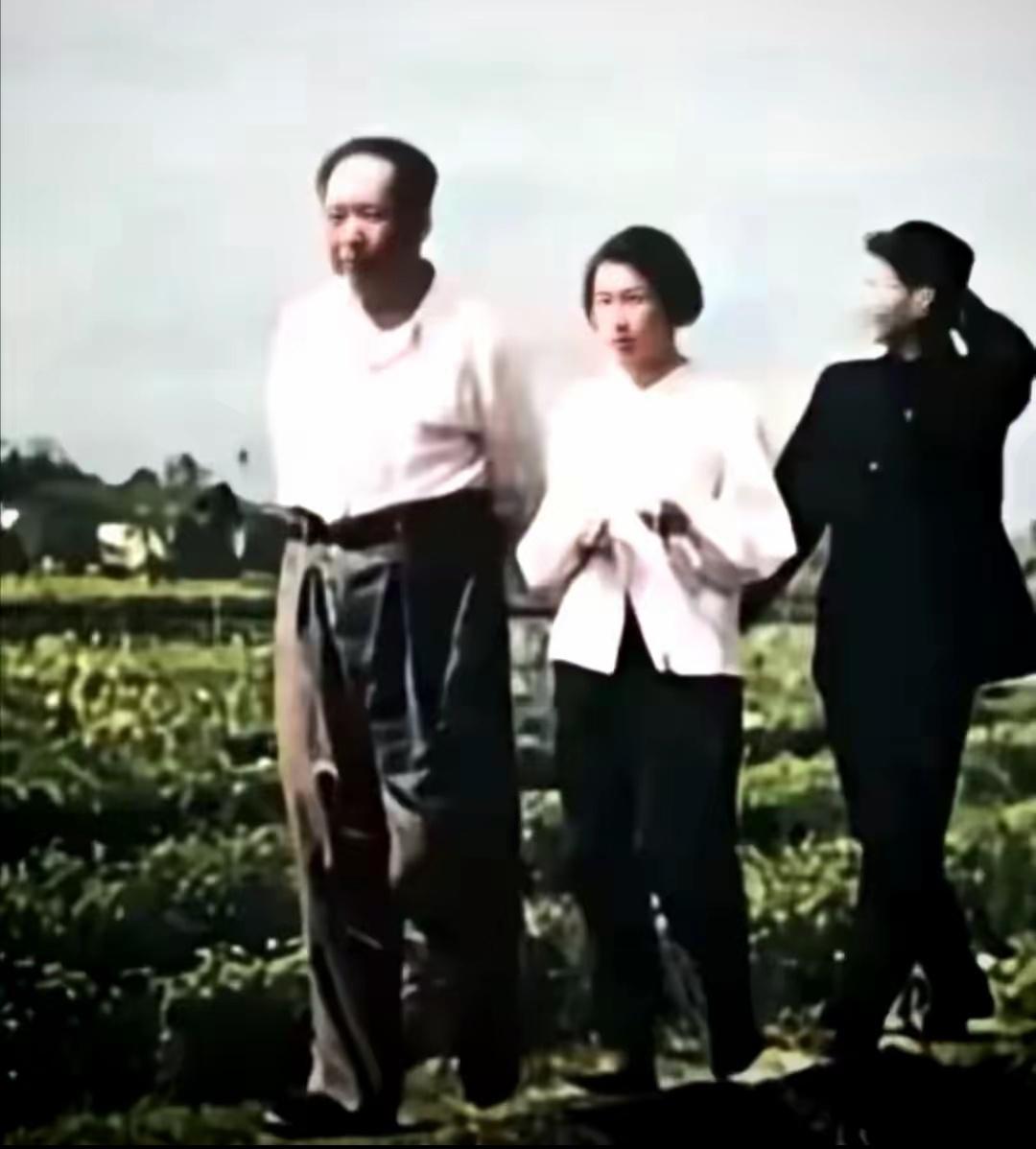 李讷跟着父亲走进田间地头，毛主席一辈子把百姓的生活放心上。这张老照片拍摄于1