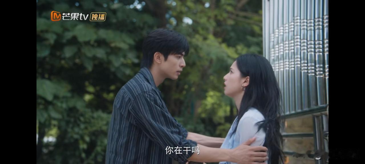 《野狗骨头》第20-21集预告：苗靖偷拍皓运快递违法运输的证据，陈异发现后急忙制