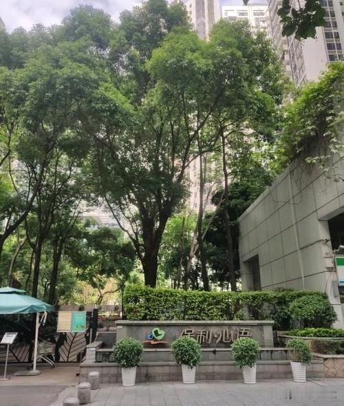 广州珠江新城保利心语：单价从14.7万跌到6.4万，神盘彻底崩塌曾经寸土寸