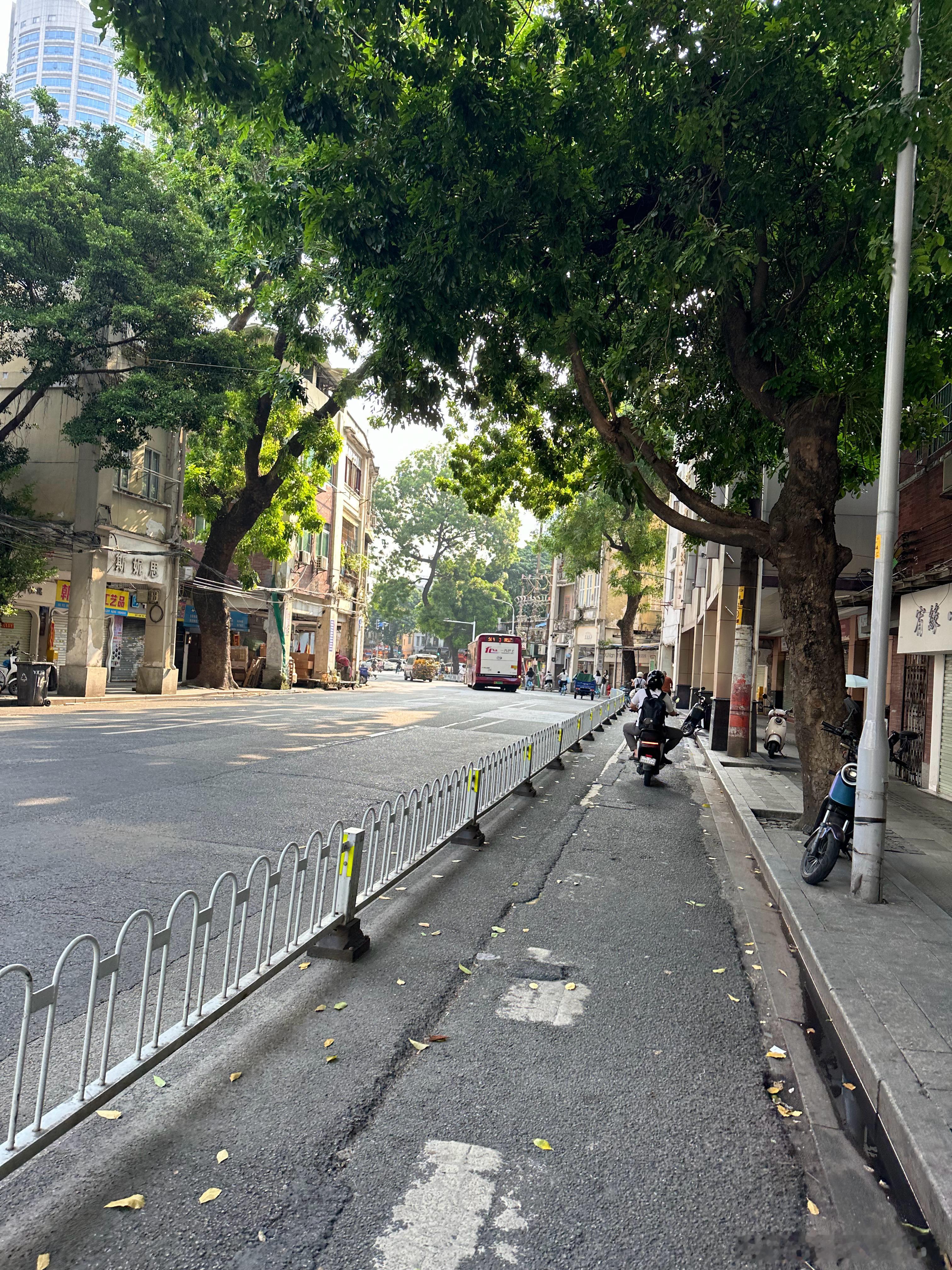 #随缘旅行#广州越秀。我发现另一个我很喜欢的街区，就是靠近省和越秀区的zf这里。（具体没拍图），还有