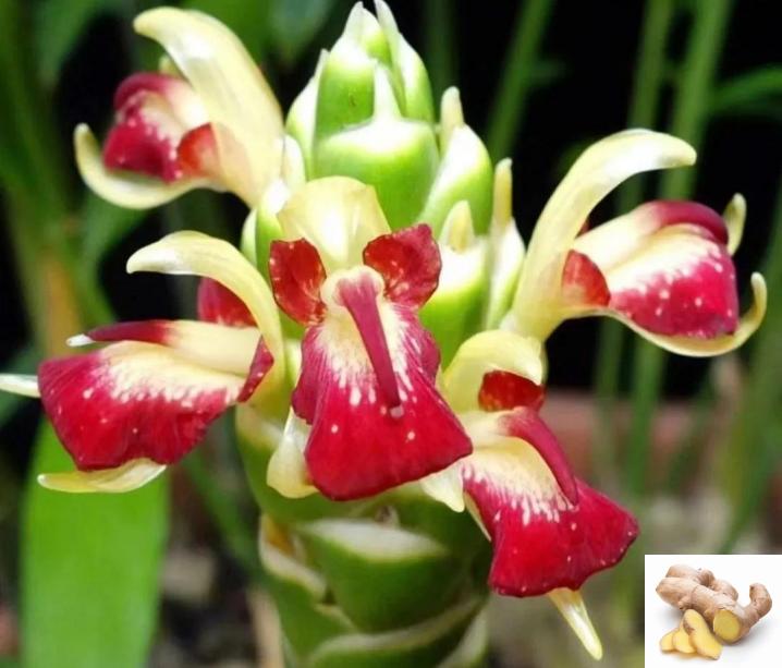 你觉得中年人的压力主要来自哪里这一代的中年人大概就是八0后吧其实挺苦的，大部分都