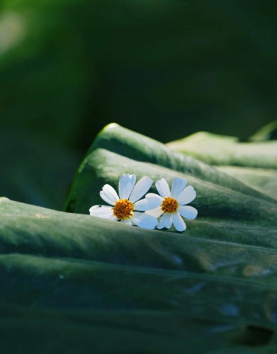 “有些人的坏，不是一般的坏，是那种坏到骨子里的坏，这种人无论受多少教育，活到多大