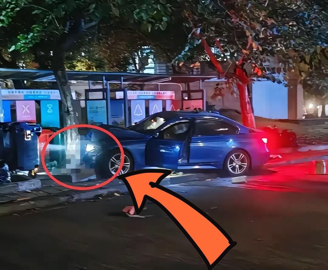 华南理工车祸引死刑声讨？别让情绪盖过法律真相喊着判司机死刑的，多半是被情绪