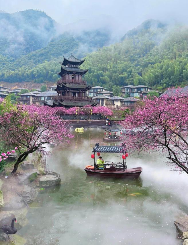 最好的养生就一个字:躲！但躲得对是养生，躲得狠成内耗：这股“躲学”热潮里，很多