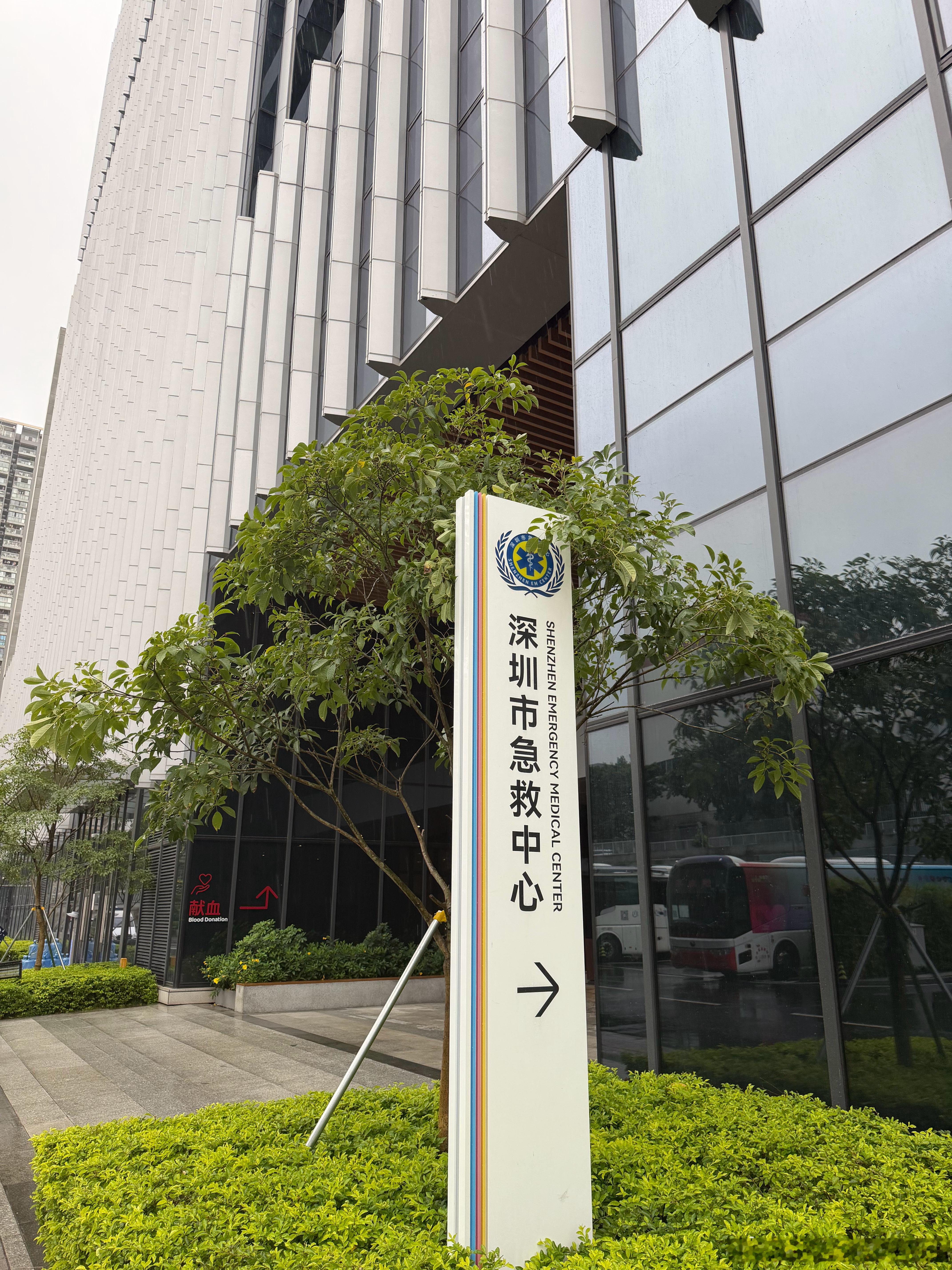 片仔癀（600436.SH）过去20个交易日的资金面情况（基于最