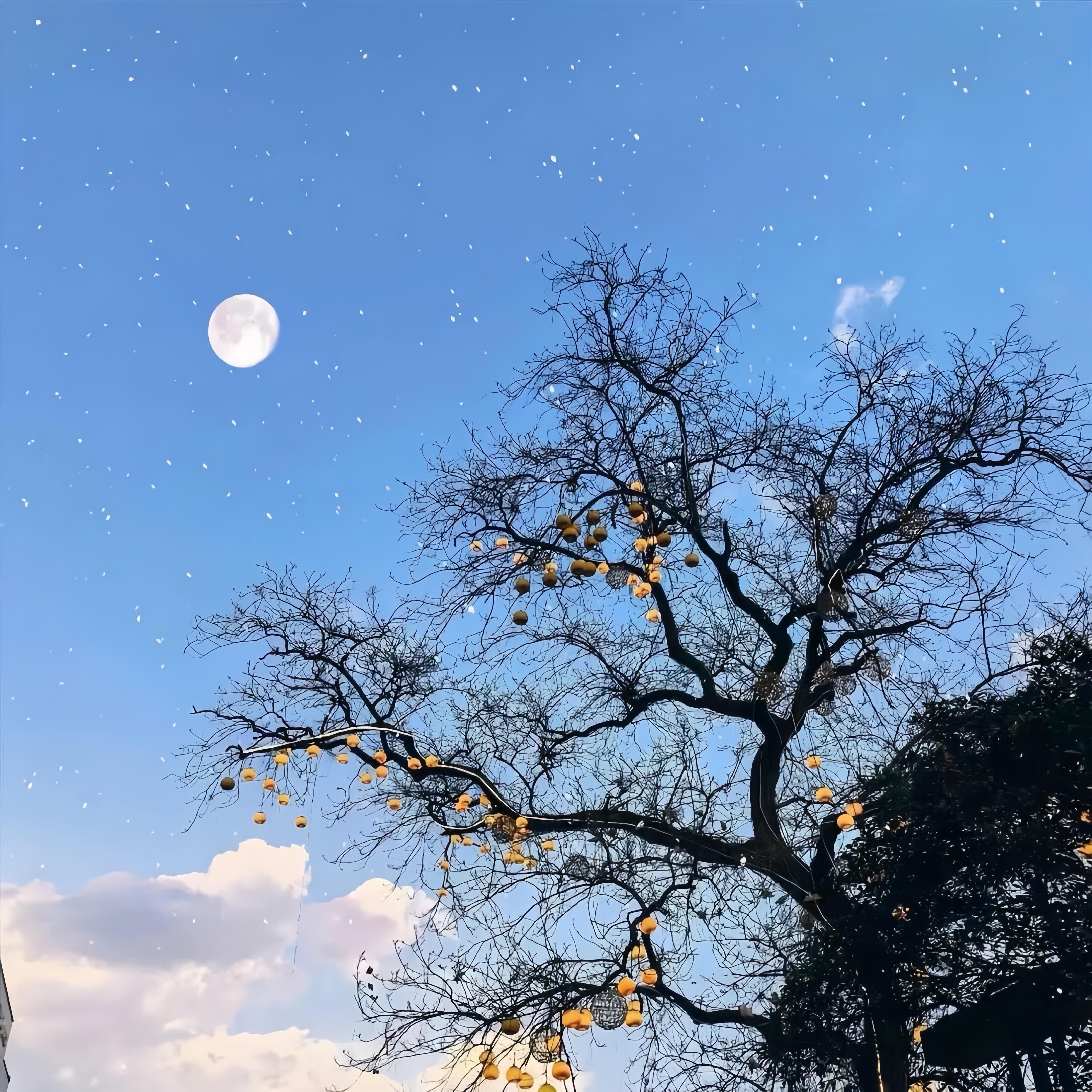 Share｜背景图零碎的岛屿会找到海。𝓢𝓬𝓪𝓽𝓽𝓮𝓻𝓮𝓭𝓲
