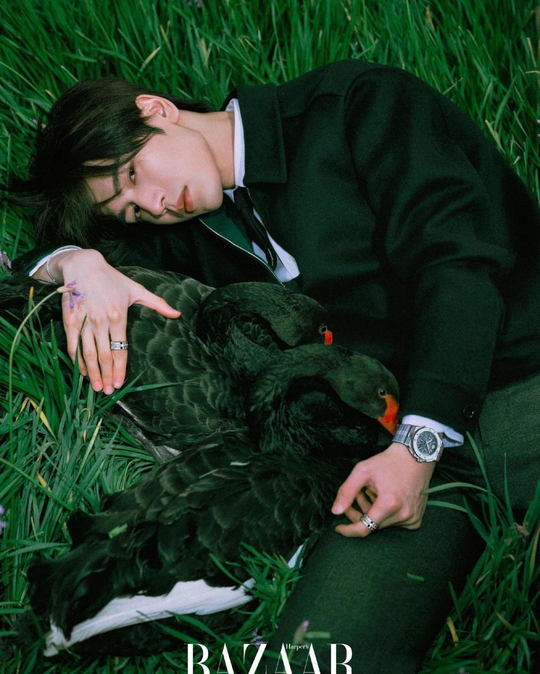 绿野仙“赫”张凌赫时尚芭莎