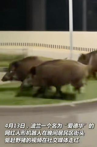 几个消息，看了很爽！ 沙特联合卡塔尔，咣当给巴基斯坦50个亿，哥，先把阿联酋