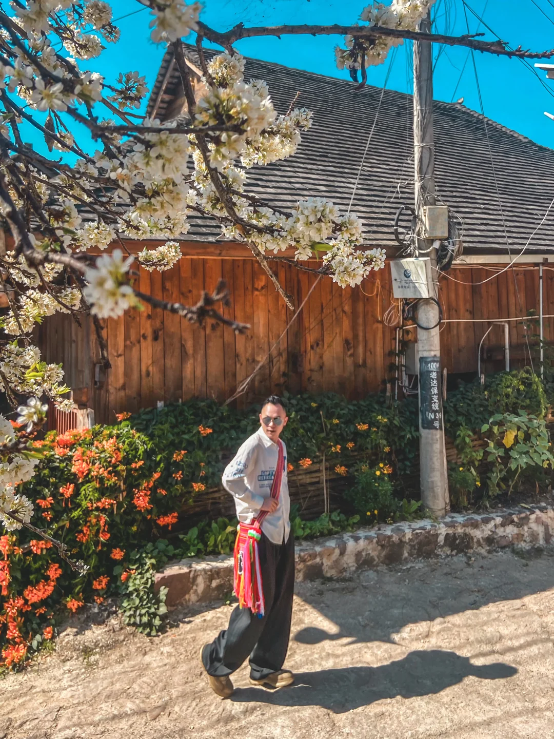 景迈山旁被低估的拉祜村寨❗️老达保村