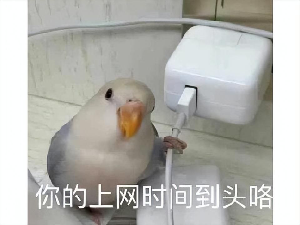 天刀韩服停运，曾经超越剑灵和黑色沙漠，韩国玩家：太氪金才凉