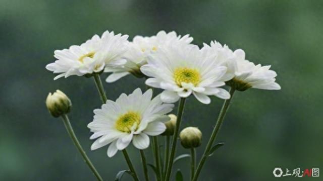 香港将为何伟豪举行最高荣誉丧礼