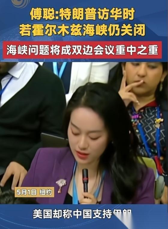 中美会谈核心来了！5月1日，傅聪在安理会轮值主席记者会上明确表示，若特朗普访华