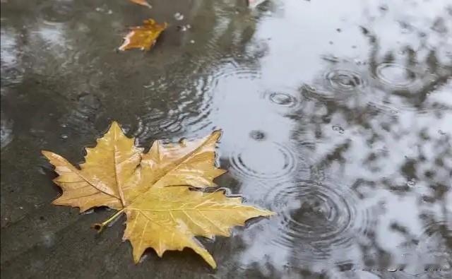 不怕八月十五晴，就怕八月十五雨，中秋下雨有什么征兆？农历八月十五，既是万家