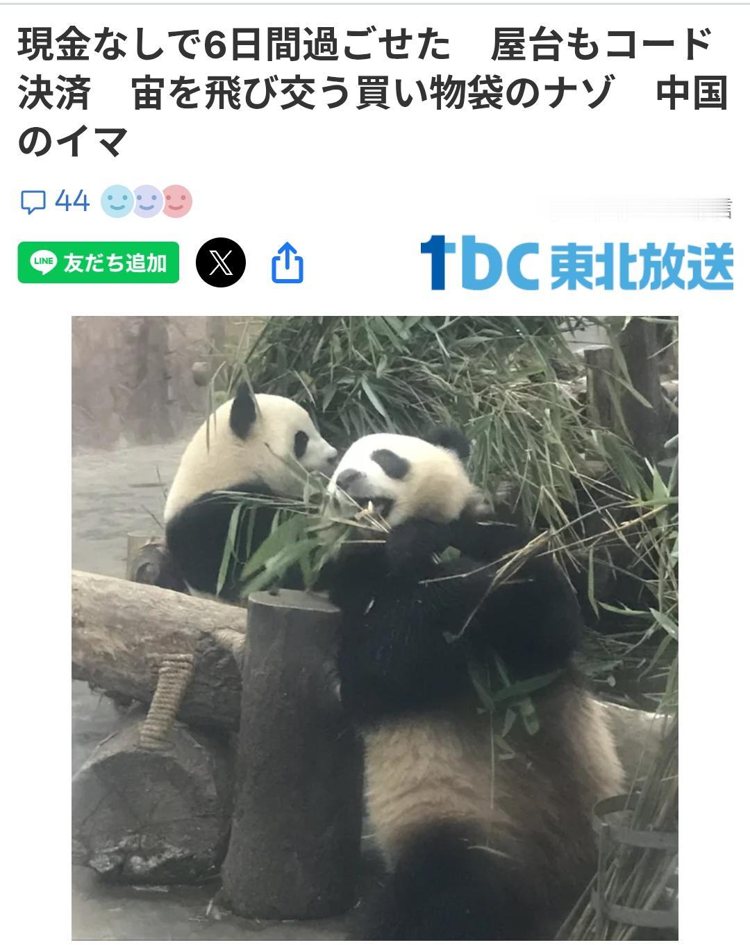 日本记者探访哈尔滨的五夜六天日本媒体《TBC东北放送》9月26日刊登了一篇记者