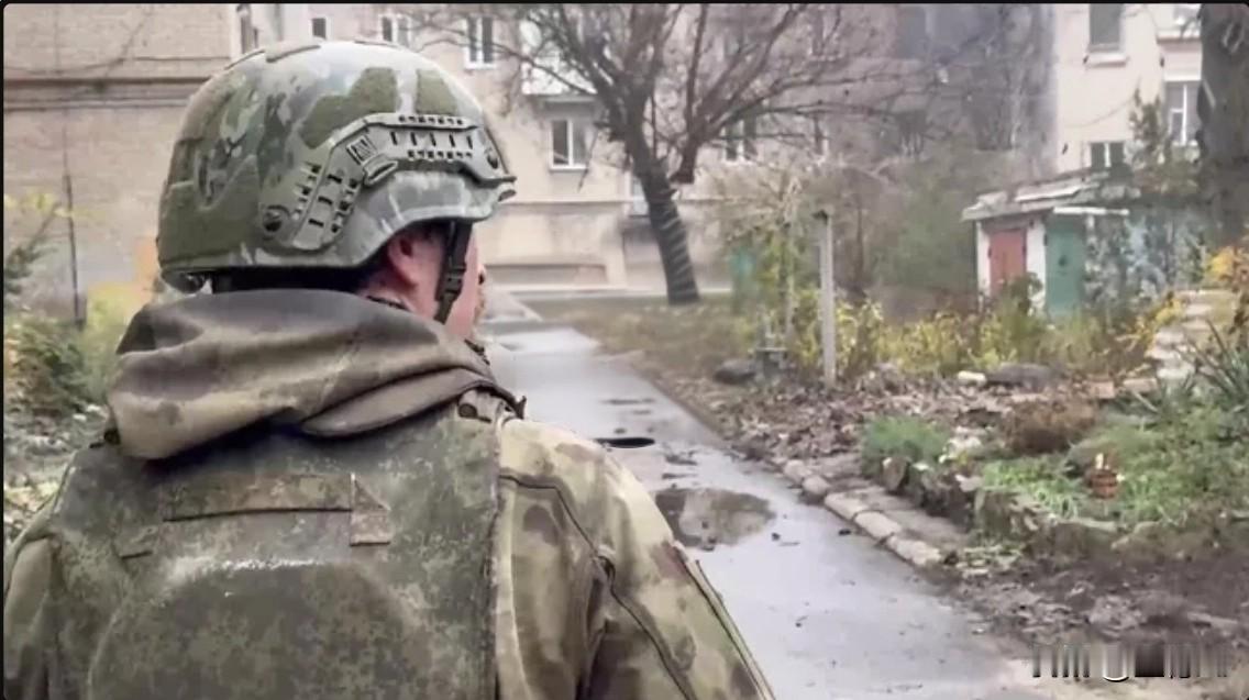 11月30日俄罗斯新闻社报道，俄罗斯国防部称，俄军炮兵摧毁了克拉斯诺阿尔梅斯克