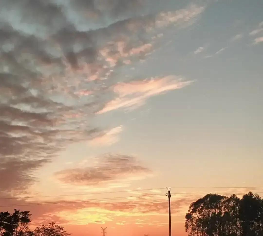 老二他爹昨晚十点打电话，说老妈肚子疼得直不起腰，要连夜送医院，想顺道在YY家借个