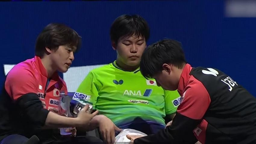 松岛辉空与王楚钦的决赛过程中，有人统计，队医五次进场给松岛按摩，放松肌肉。看看松