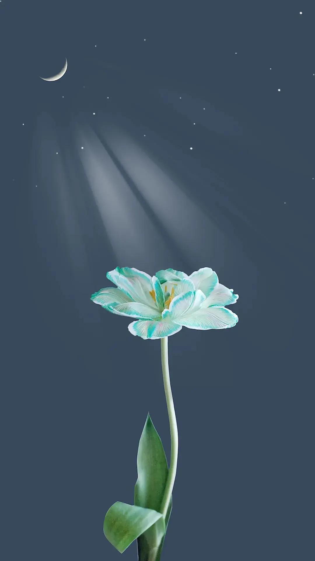 人生很短，短的只能记住一个人！如果人生可以删除，我宁愿缩短生命，把那些无谓的