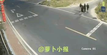 过马路注意安全⚠️小孩子都知道的道理，成年人怎么会不知道呢？把马路当自己家客厅了