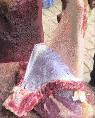 狗看了都直摇头