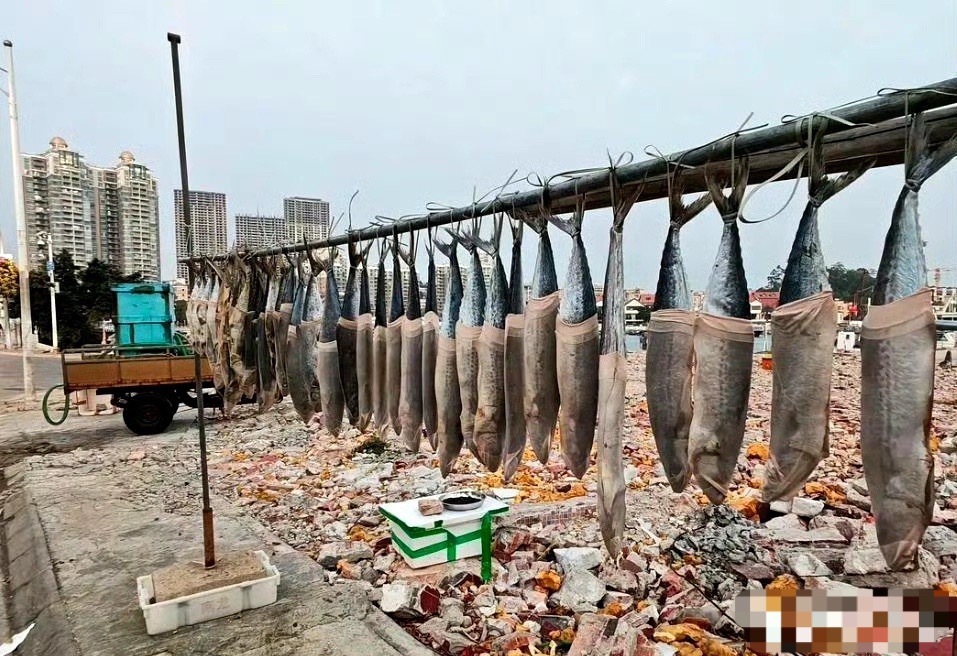 用丝袜去套这个咸鱼是什么概念？