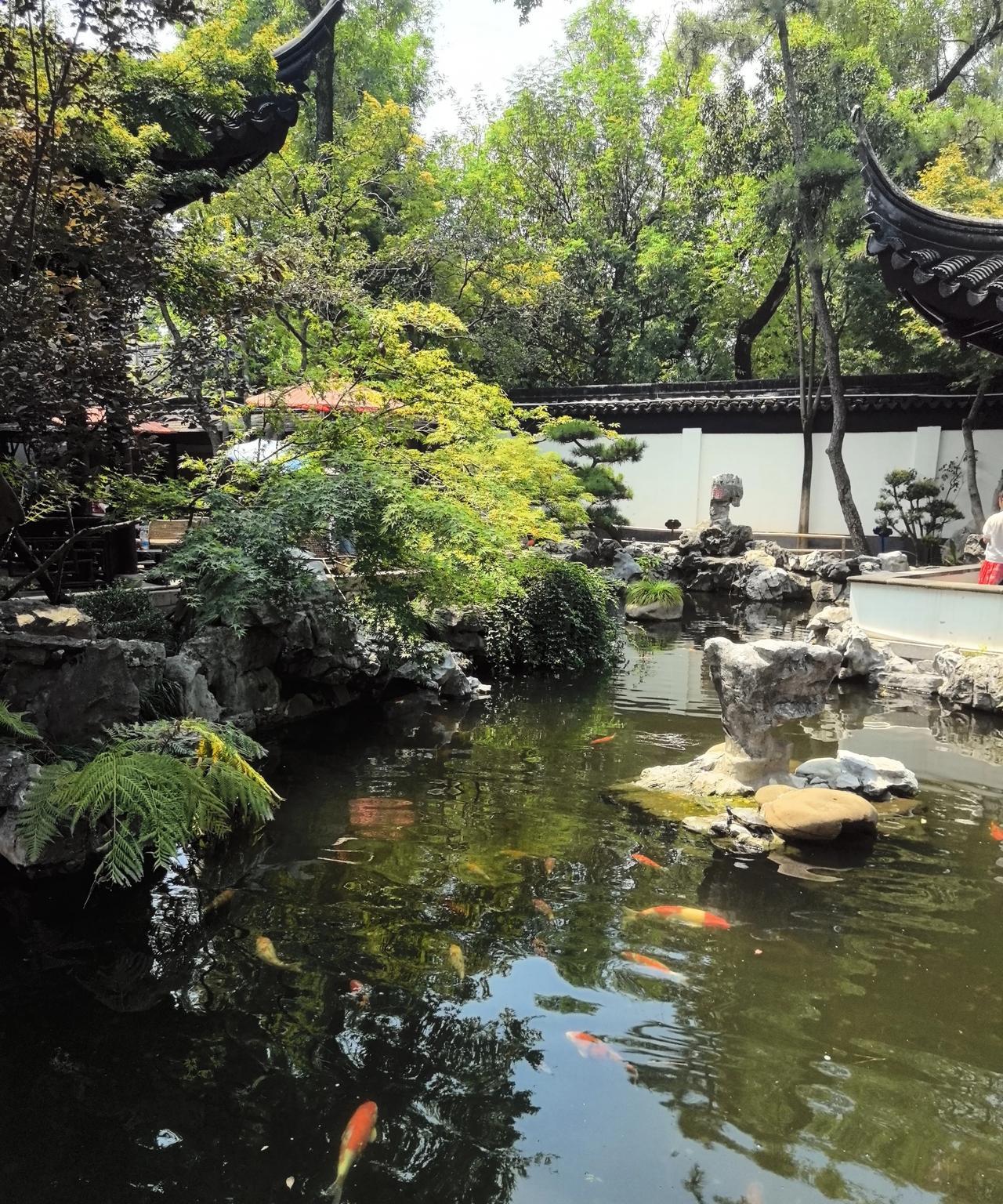为什么要去旅游？我终于发现，旅游不是为了拍照片，发朋友圈，显摆自己。旅游也不