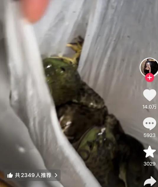 上海姑娘点牛蛙外卖，特意备注牛蛙不要烧，本以为是追求原汁原味的清淡吃法。结果打开