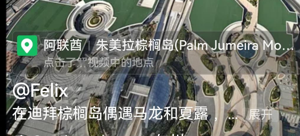 原来棕榈岛不止合影了小朋友家突然变成棕榈岛打卡点