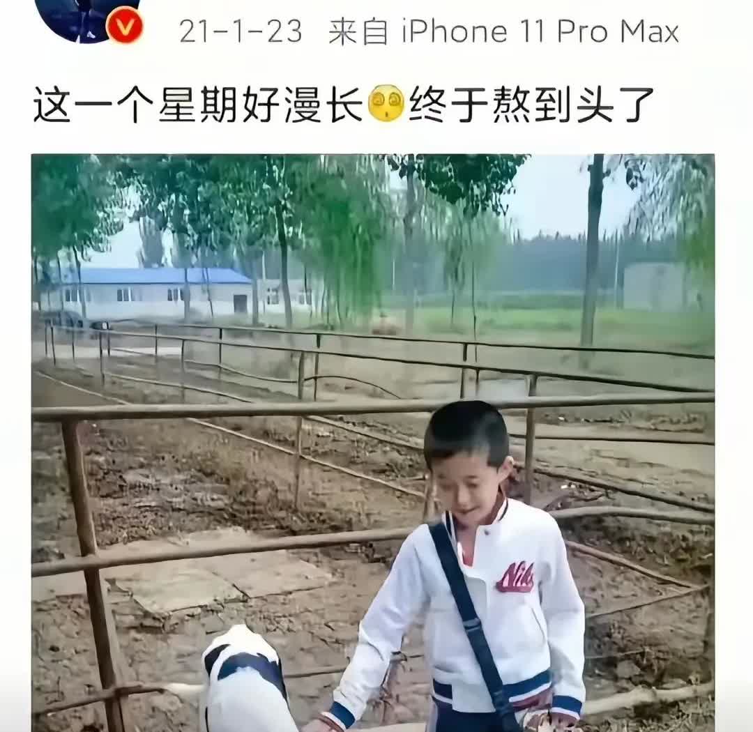 王楚钦你这次敢不敢再来个感叹？这次是十天可比一个星期还多你准备咋熬呀？你