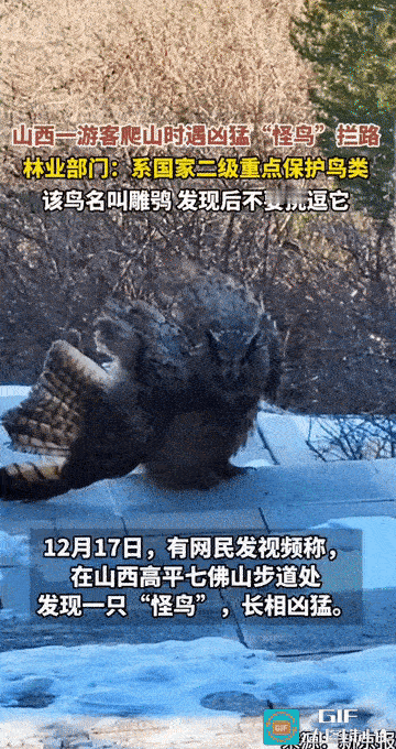 “暗夜之王拦路，游客惊魂！”山西高平七佛山的步道上，一位游客遭遇了惊险一幕。在他