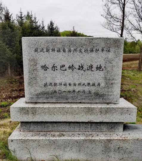 两名日籍人员因清除日军遗留化学武器过程中受伤入院，岛内“头条开讲”节目的主持人張