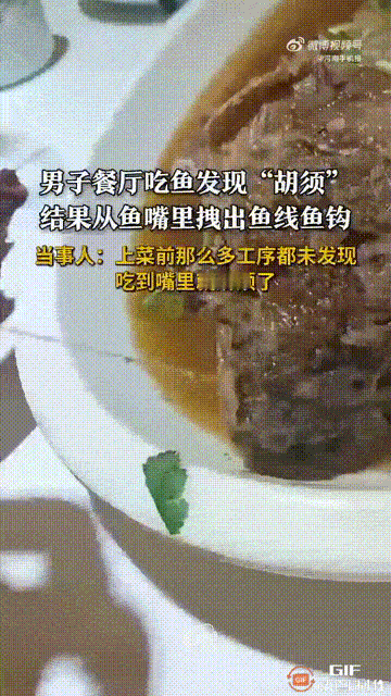 真服了！河南一名男子在一家餐厅吃饭时，点了一条鱼，谁料等服务员把鱼端上来，他竟然